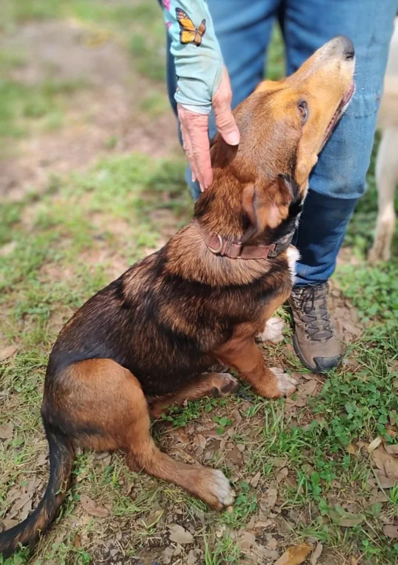 Cindylou thumbnail 3