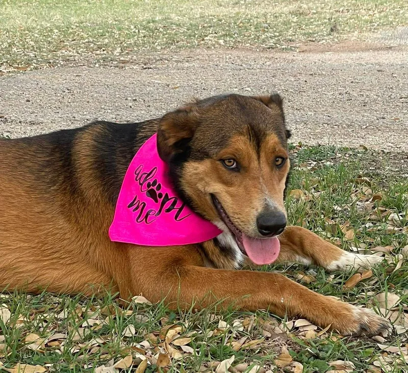 Cindylou thumbnail 4