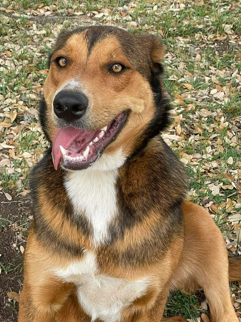 Cindylou thumbnail 5