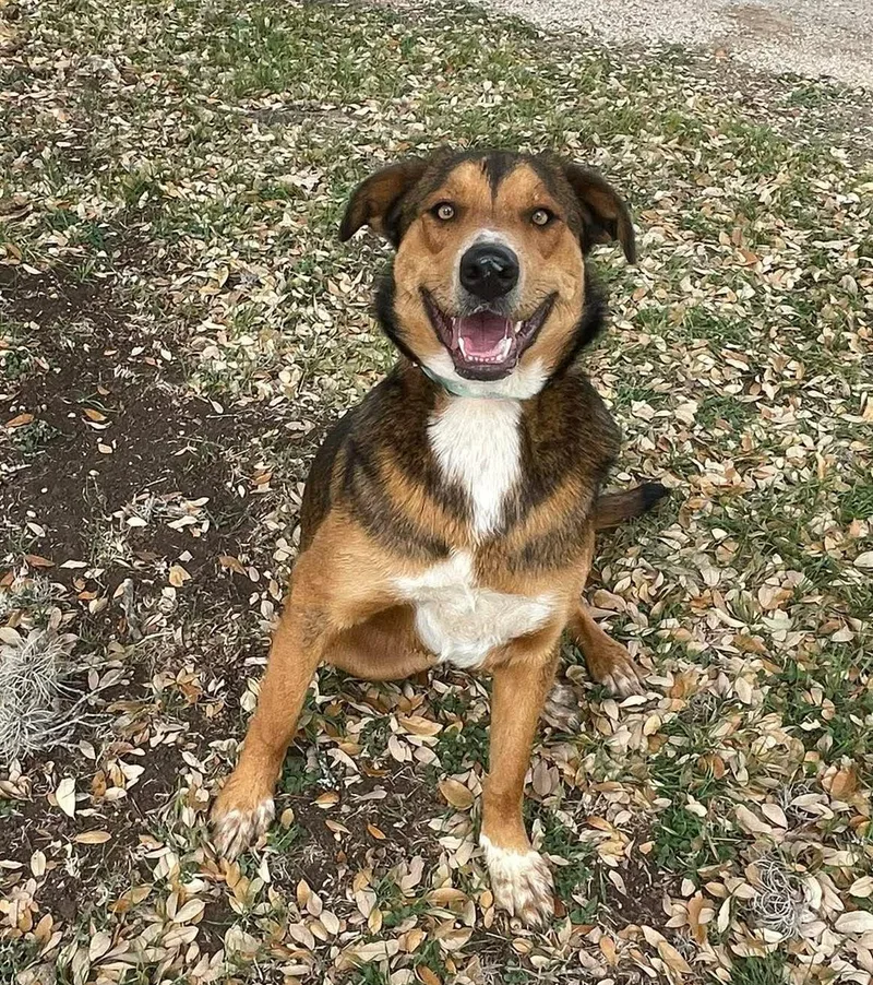 Cindylou thumbnail 6