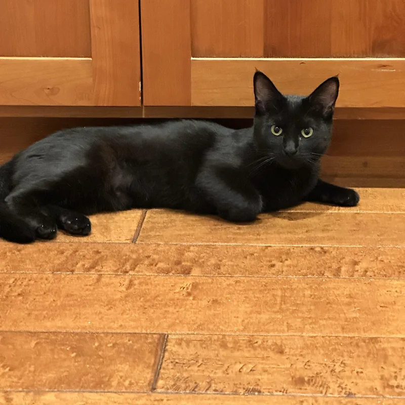 Wednesday thumbnail 2