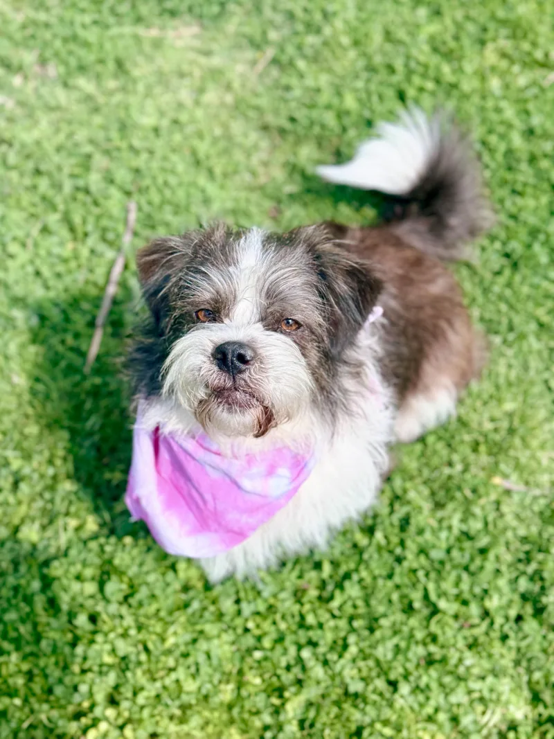 Margorita thumbnail 2