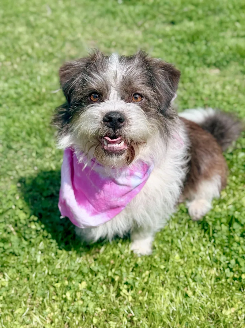 Margorita thumbnail 3