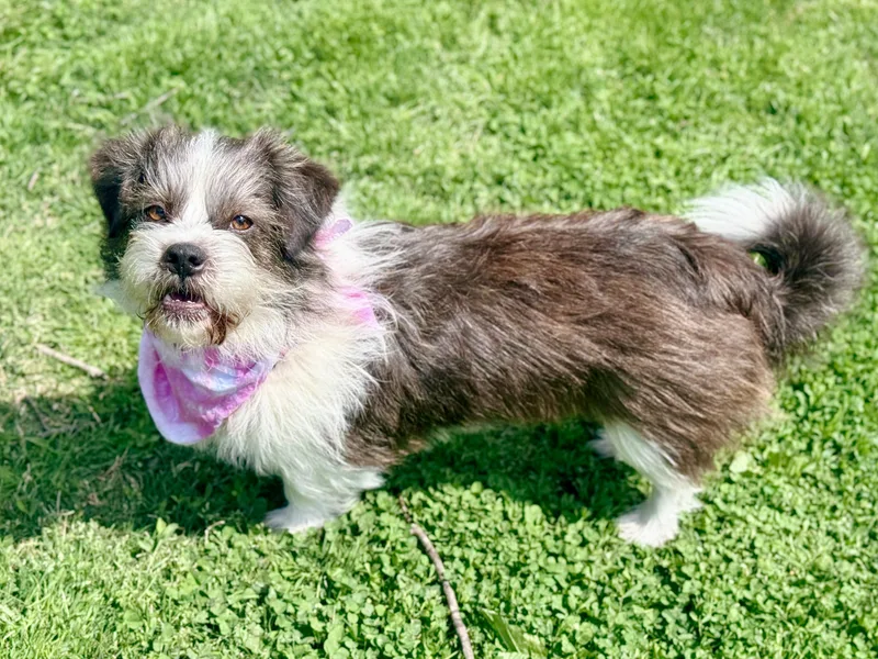 Margorita thumbnail 4