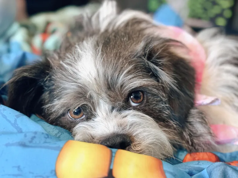 Margorita thumbnail 5