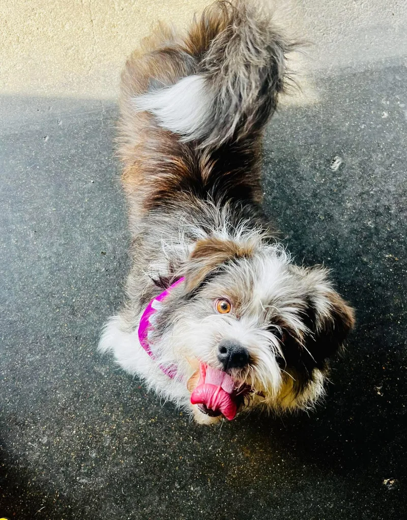 Margorita thumbnail 6