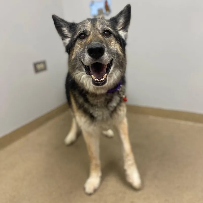Max