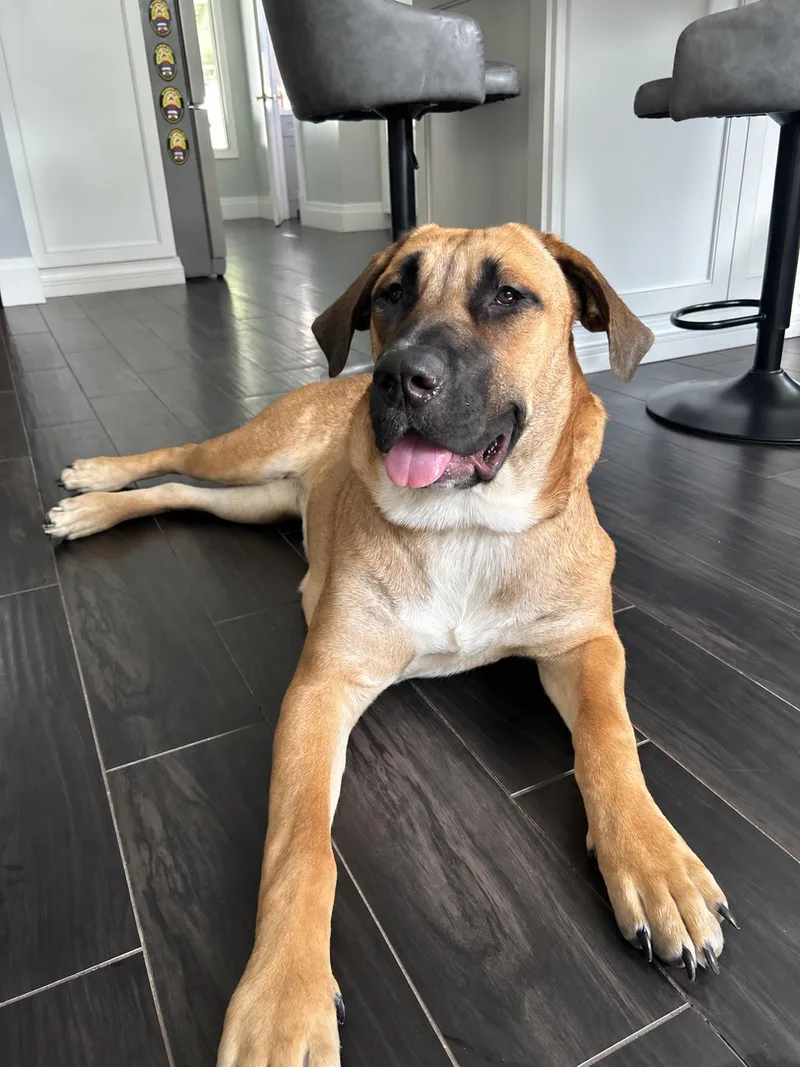 Delilah