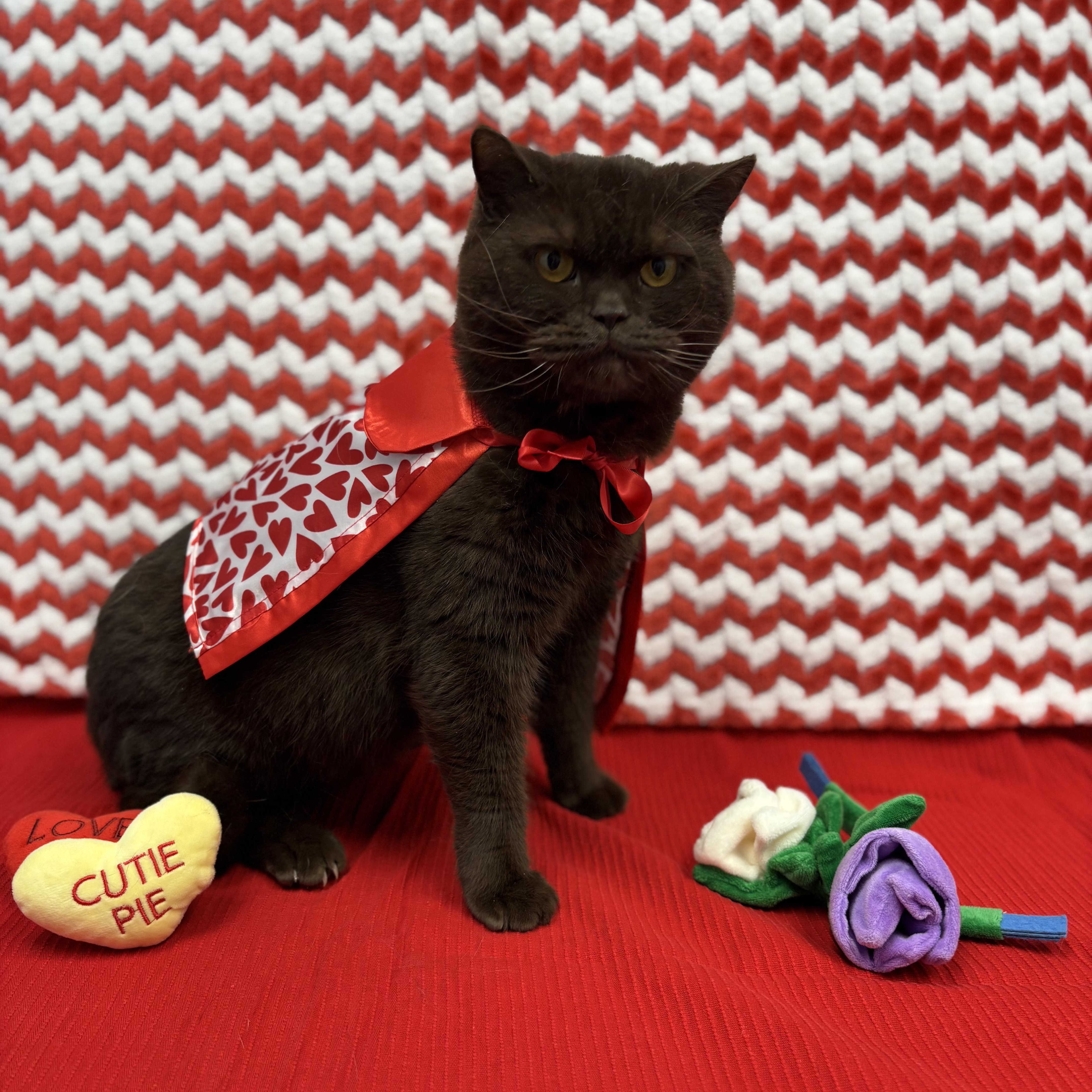 Toblerone thumbnail 5