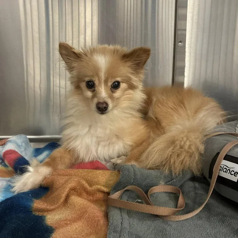 Kyra Sue thumbnail 2