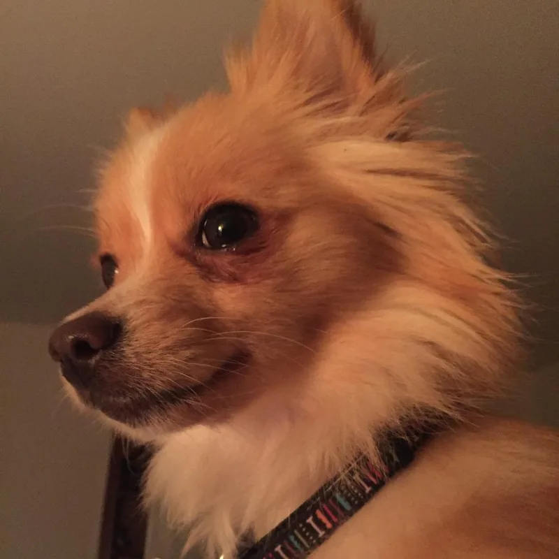 Kyra Sue thumbnail 3