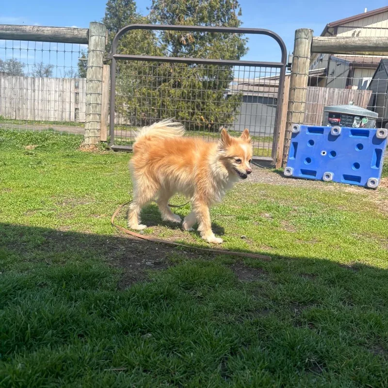 Kyra Sue thumbnail 4