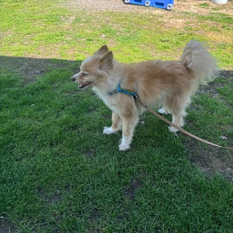 Kyra Sue thumbnail 5