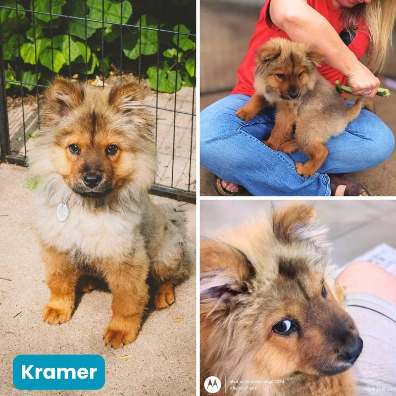 Kramer