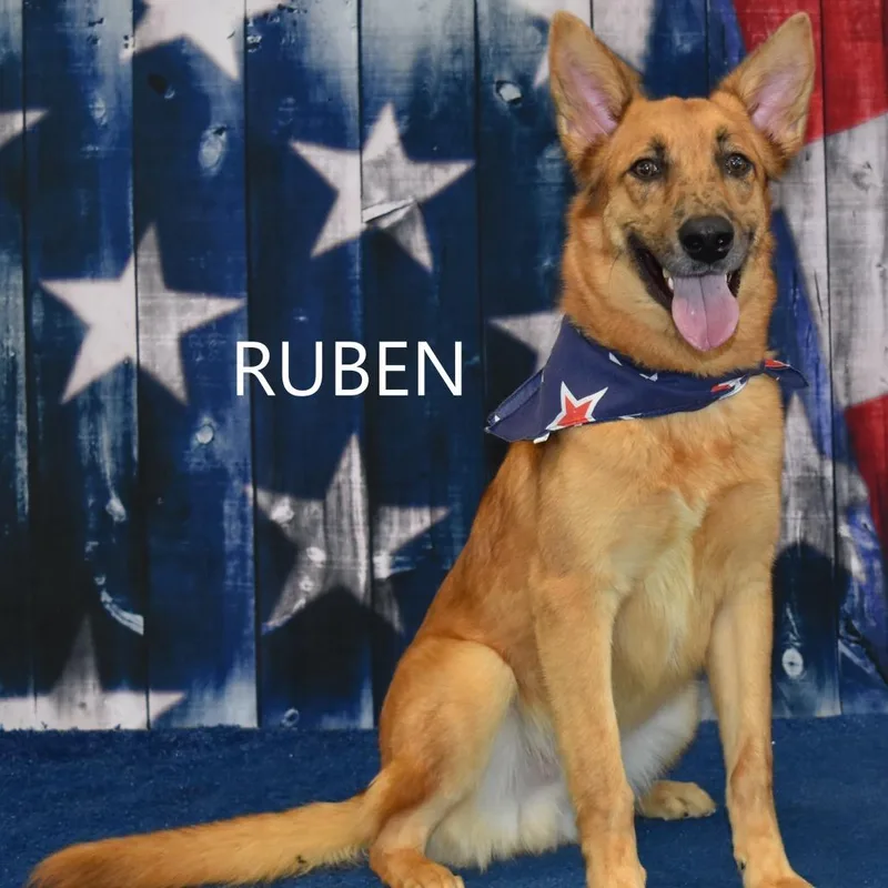 Ruben thumbnail 3