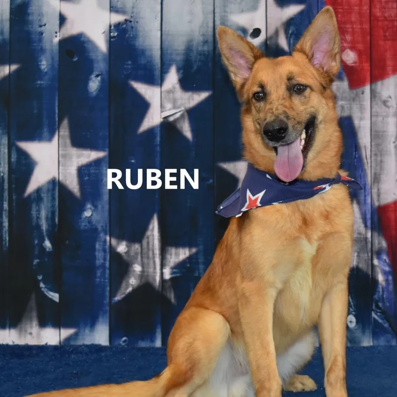 Ruben thumbnail 4