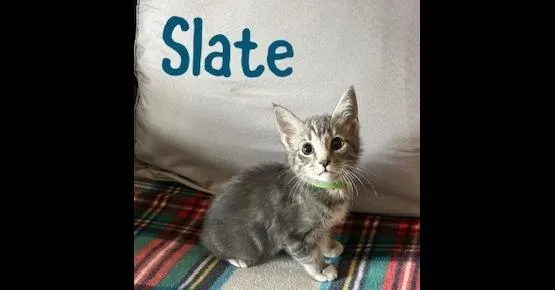 Slate