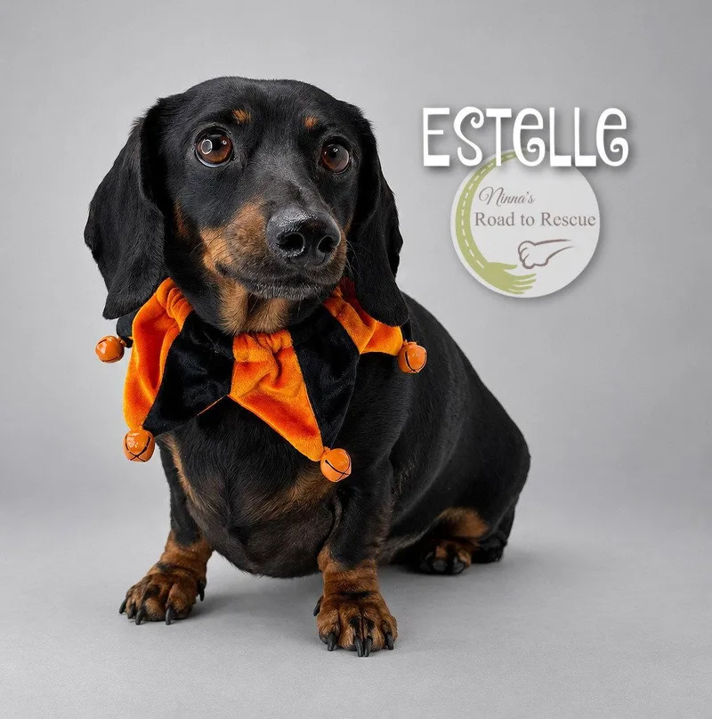 Estelle thumbnail 2