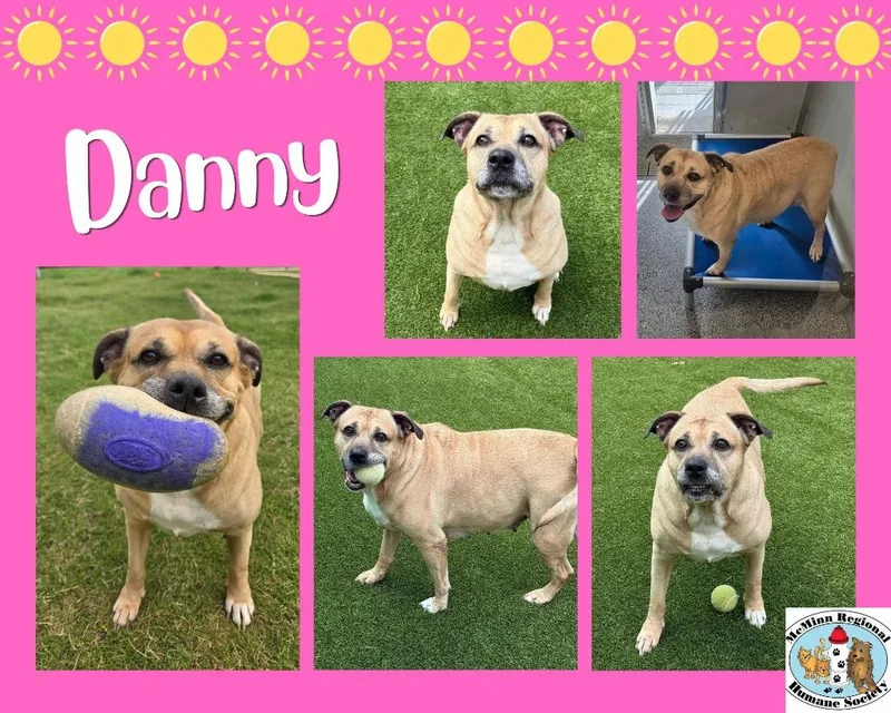 Danny thumbnail 2