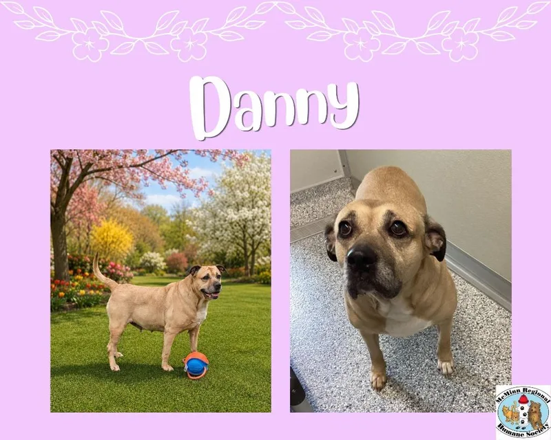 Danny thumbnail 4