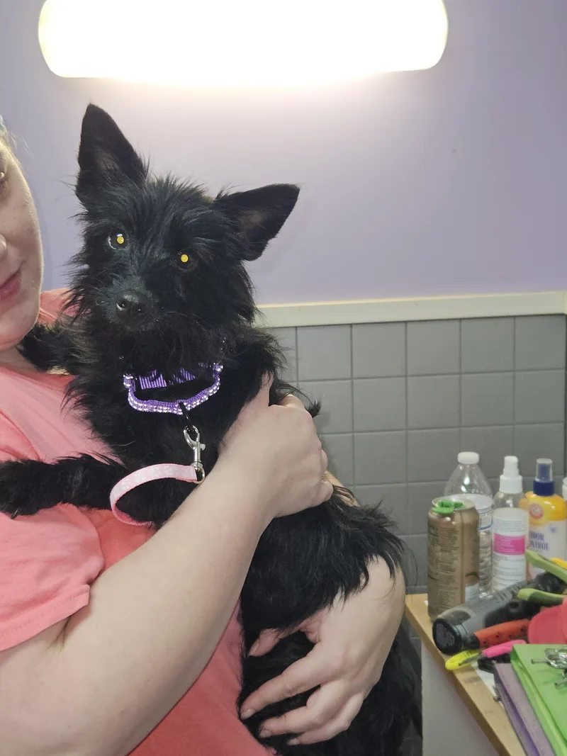 Minnie thumbnail 2