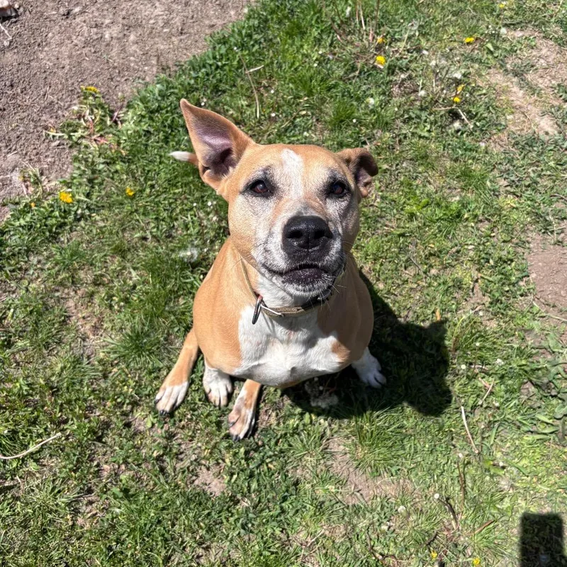 Zoey