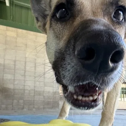 Zoey thumbnail 3