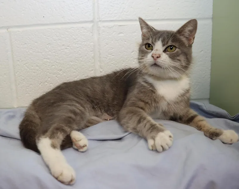 Darla thumbnail 4