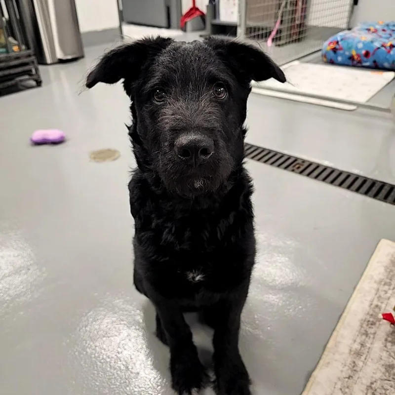 Mr. Business thumbnail 2