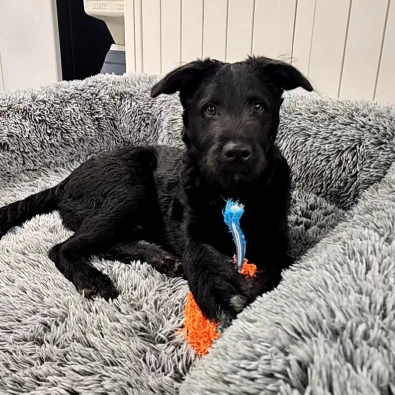 Mr. Business thumbnail 3