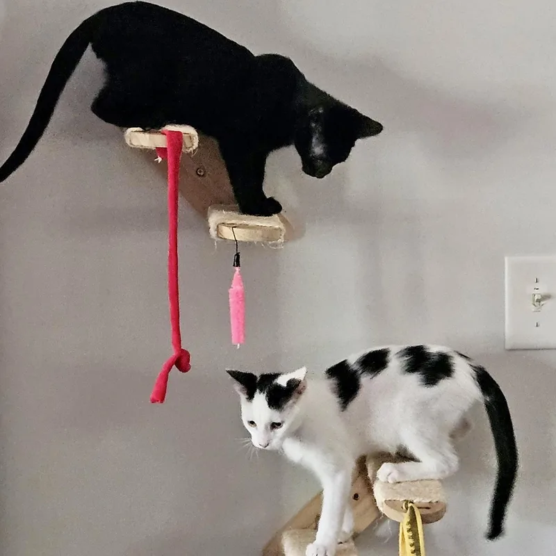 Cointreau thumbnail 3