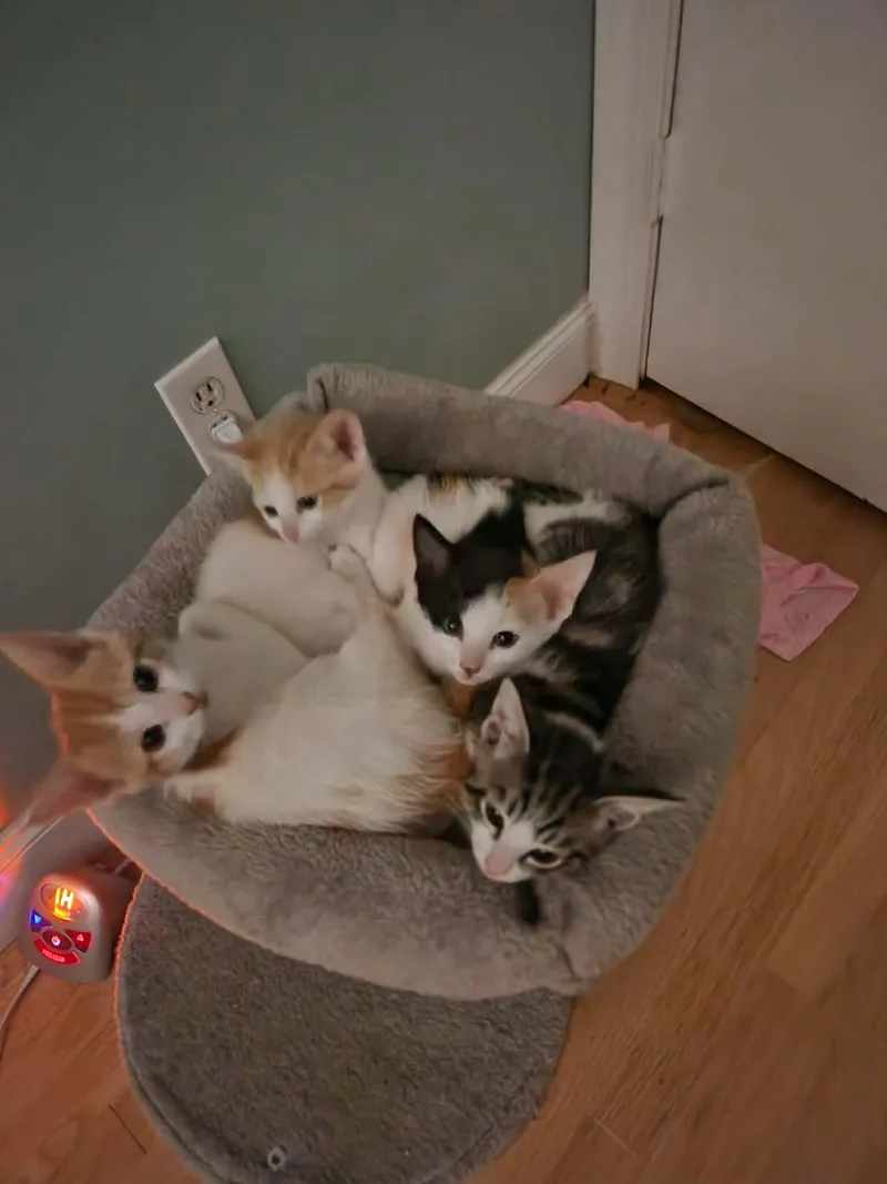 Space Litter thumbnail 2