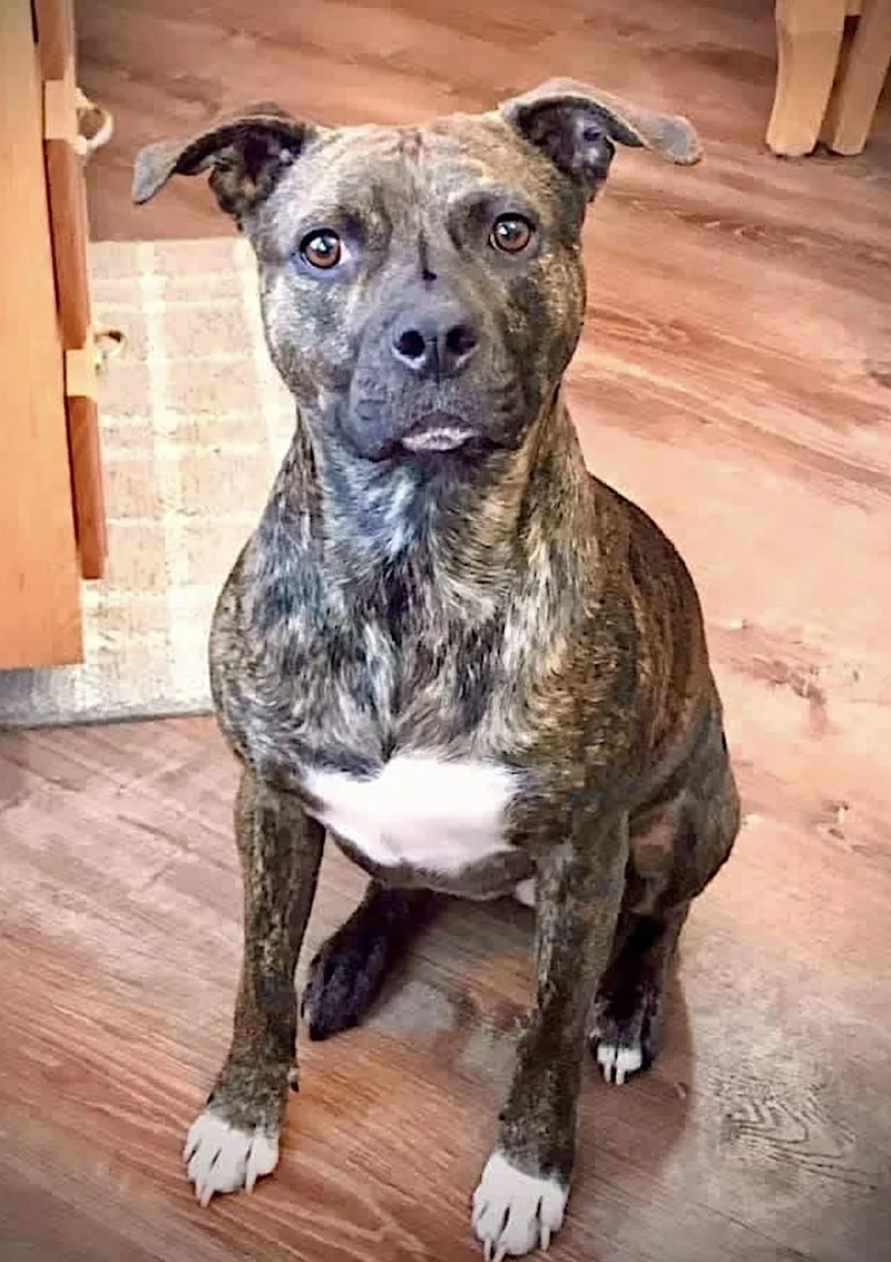 Sophie thumbnail 4