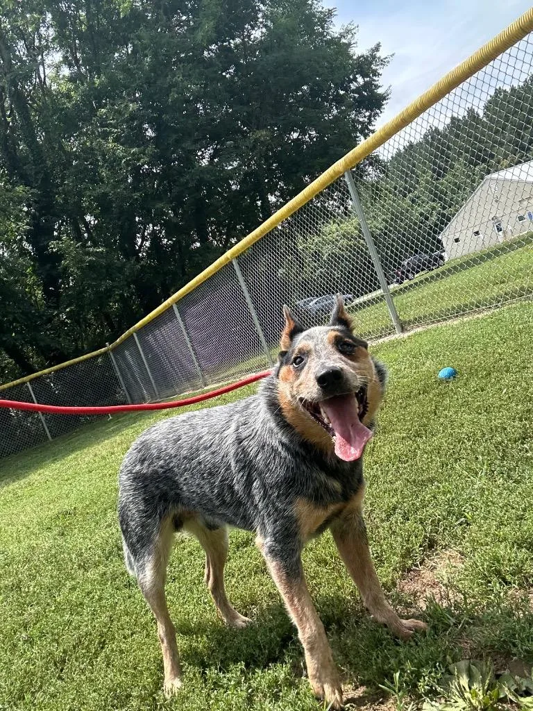 Zeek