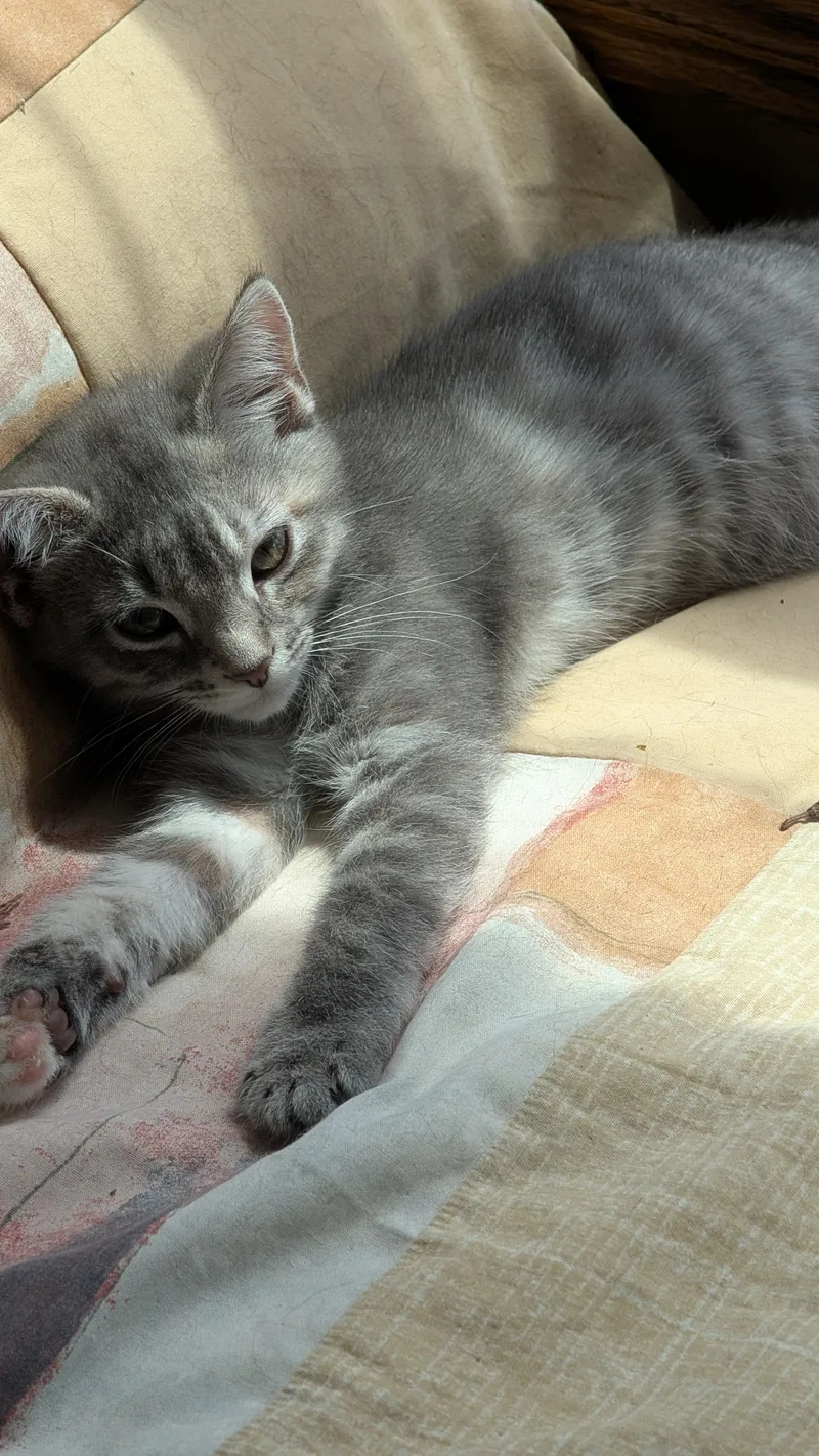 Martini  Millie and thumbnail 2