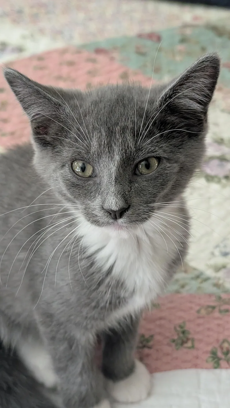 Martini  Millie and thumbnail 3