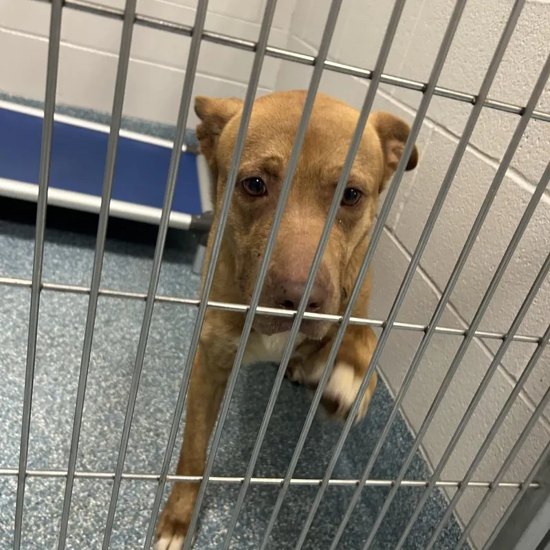 Mama Woods thumbnail 3