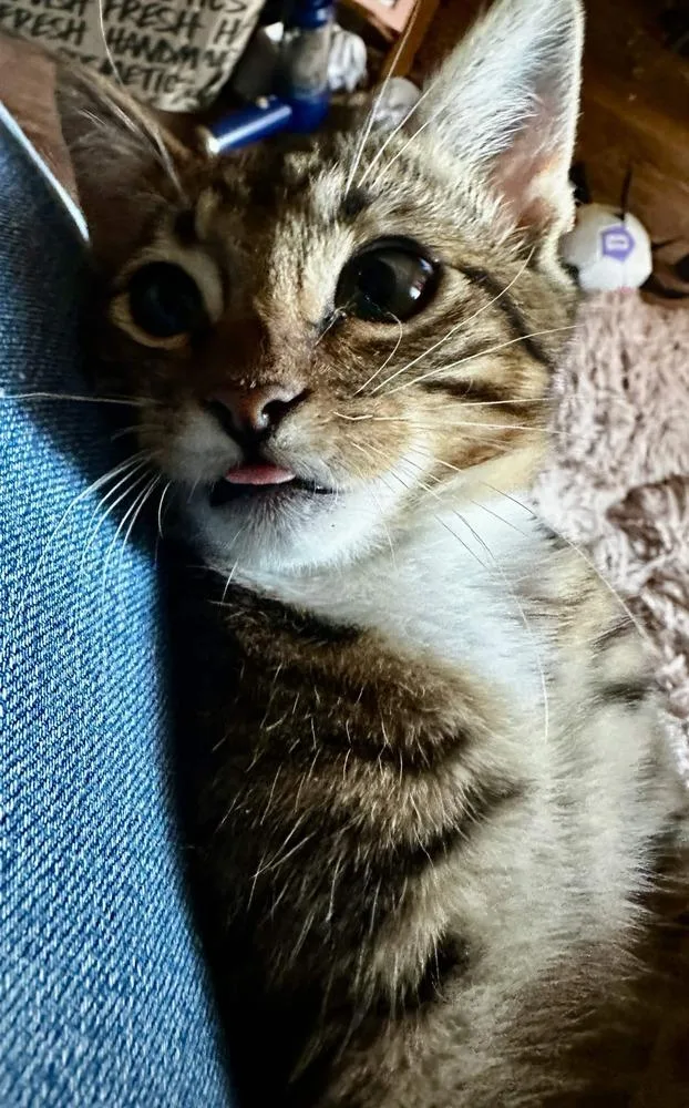 Rupert thumbnail 3
