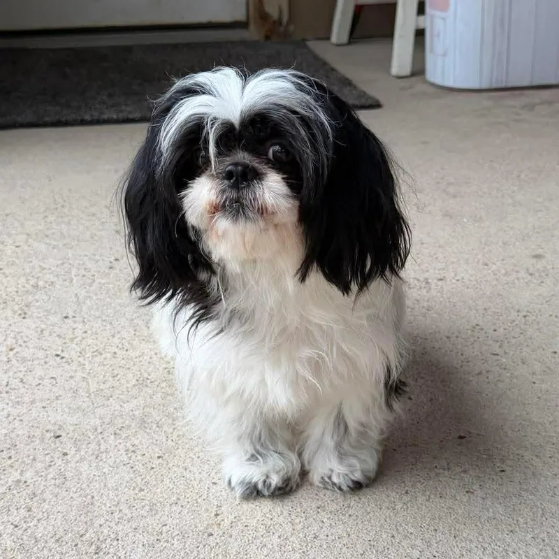 Danielle D thumbnail 3