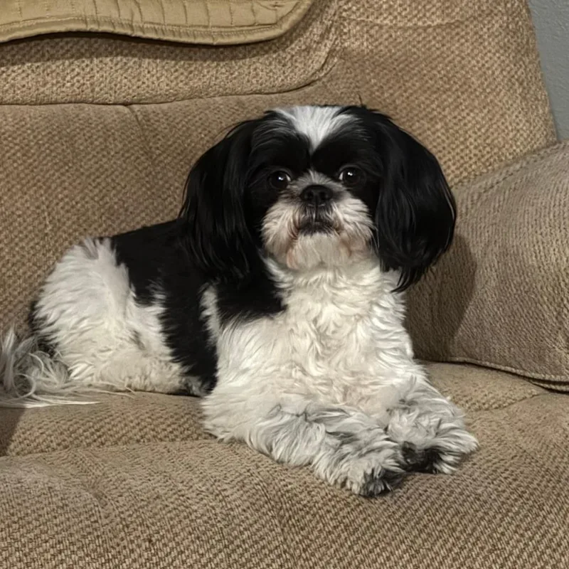 Danielle D thumbnail 4