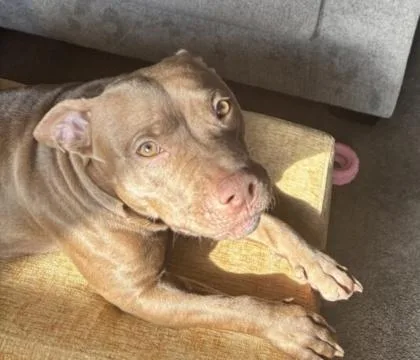 Hazel Fka Neptune thumbnail 2