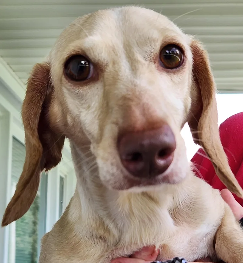 Luna in KY thumbnail 2