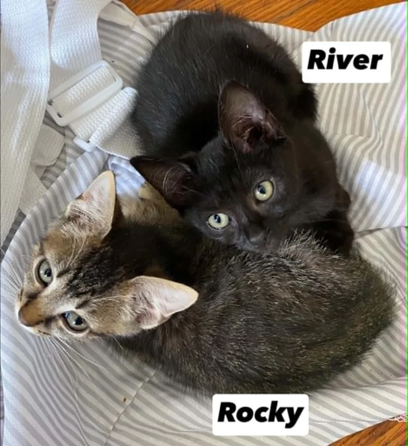 River & Rocky