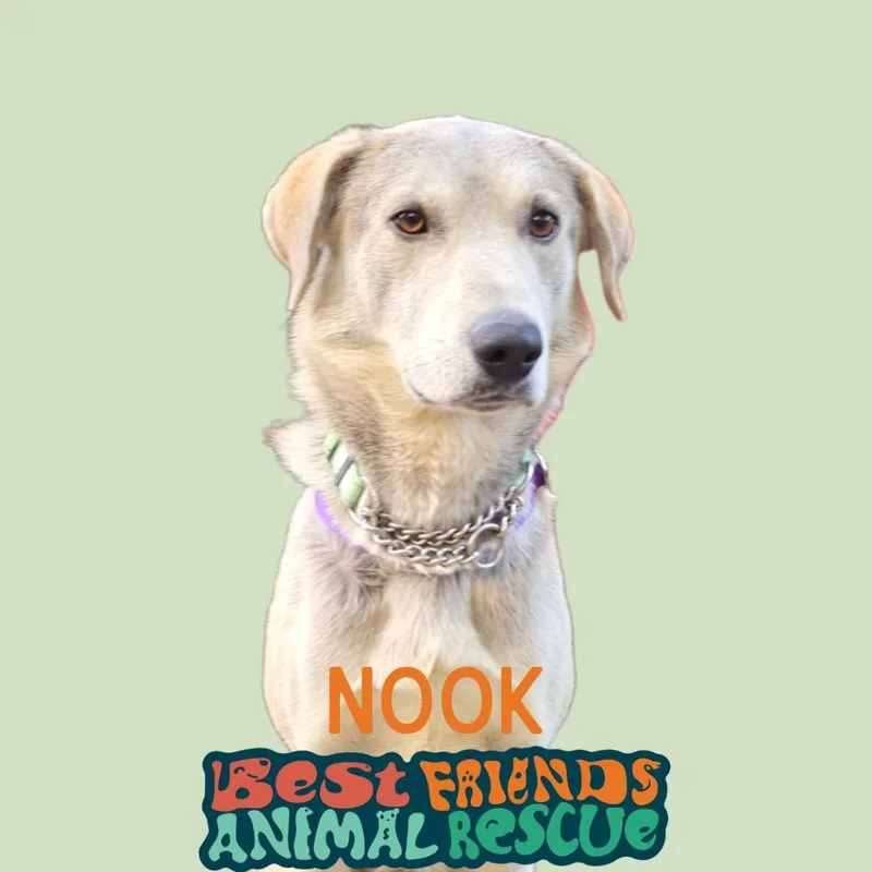 Nook