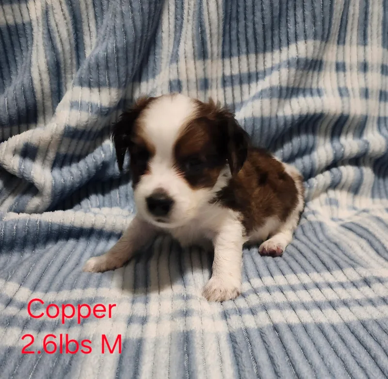 Copper