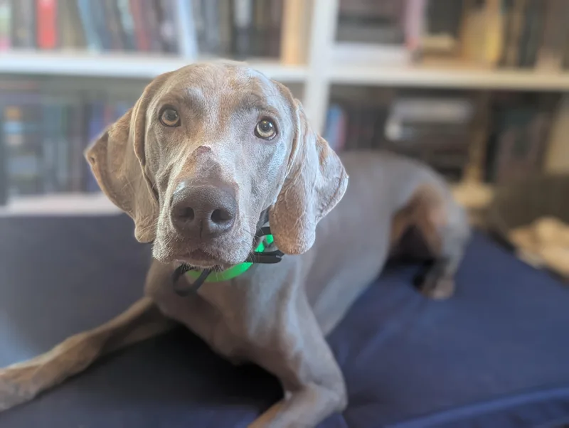 Flint thumbnail 4
