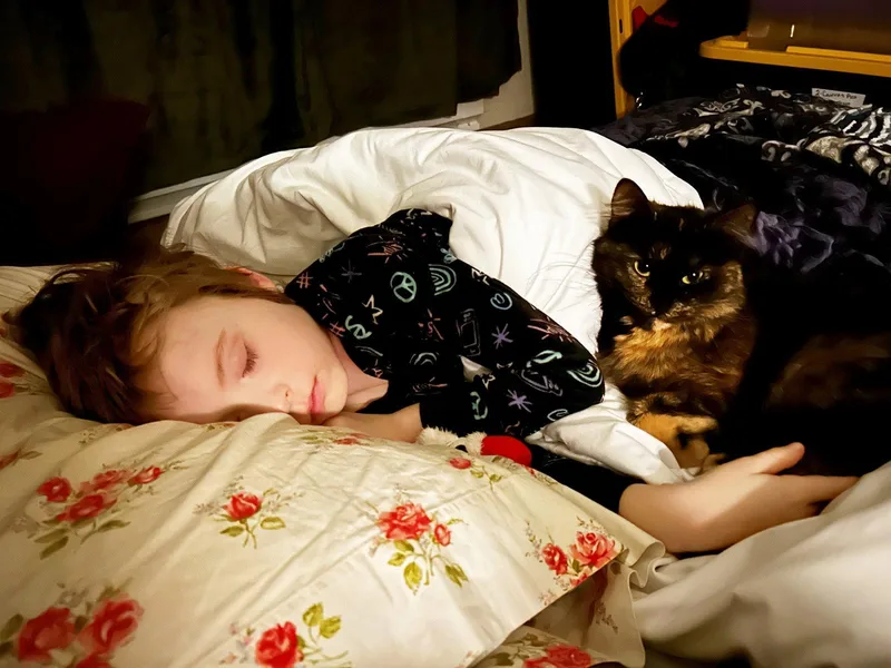 Mochi   Offered thumbnail 3