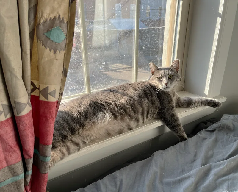 Howard Aspen thumbnail 3