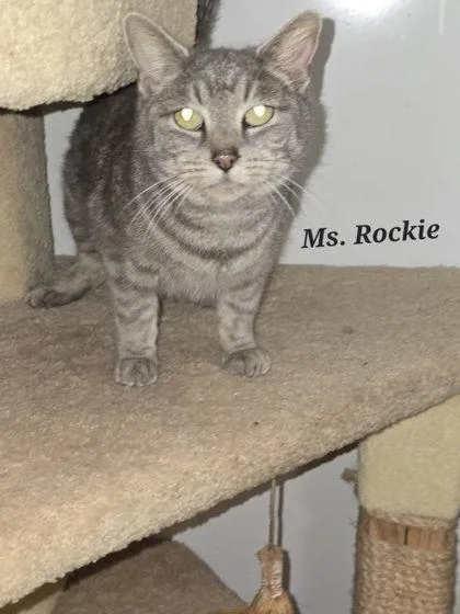 Ms. Rockie thumbnail 2