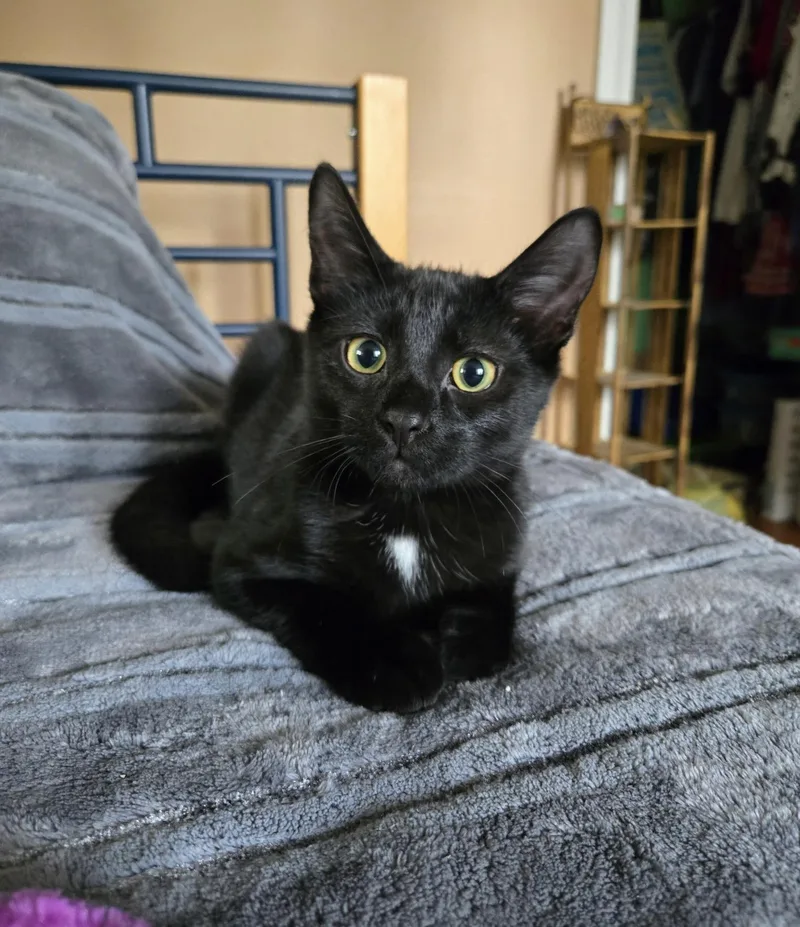 Timothy